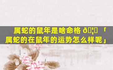 属蛇的鼠年是啥命格 🦊 「属蛇的在鼠年的运势怎么样呢」